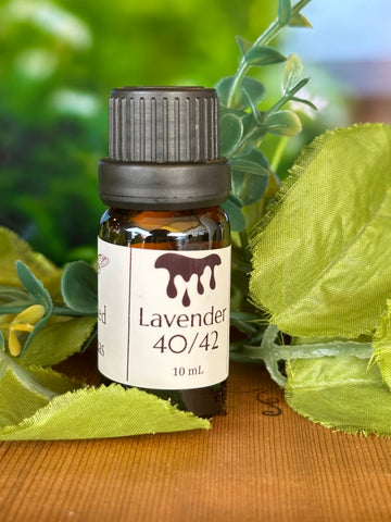 Lavender 40/42