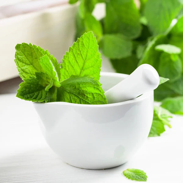 Peppermint